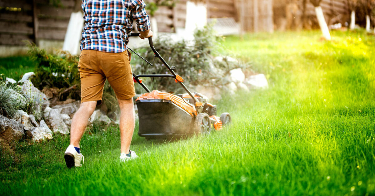 Must-Have Lawn Care Equipment for First-Time Homeowners