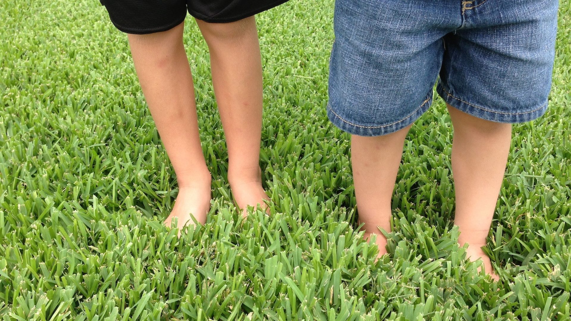 feet grass kids 2