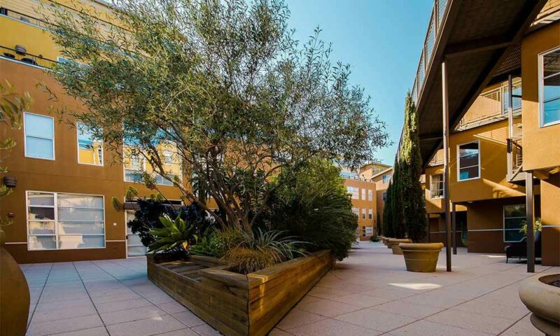 Courtyard with large tree growing under bridge.