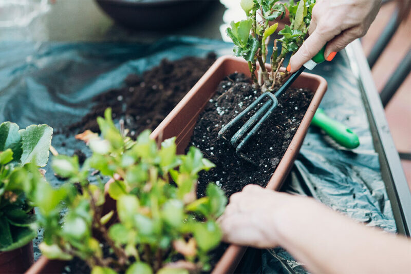 garden fork