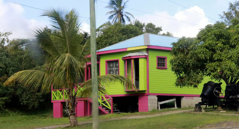 a clearly ugly bright neon green and pink house