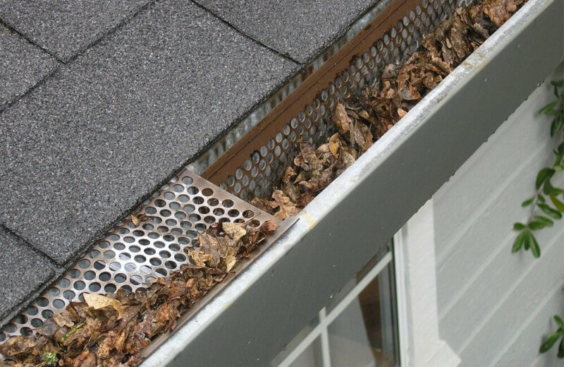 leaves in a gutter