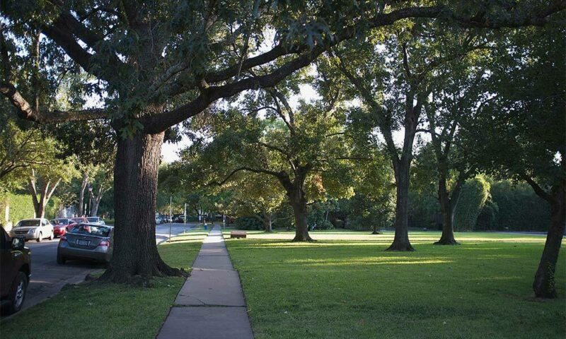 A peaceful neighborhood scene near Houston’s Buffalo Bayou.