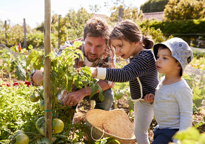 Kids growing vegetables