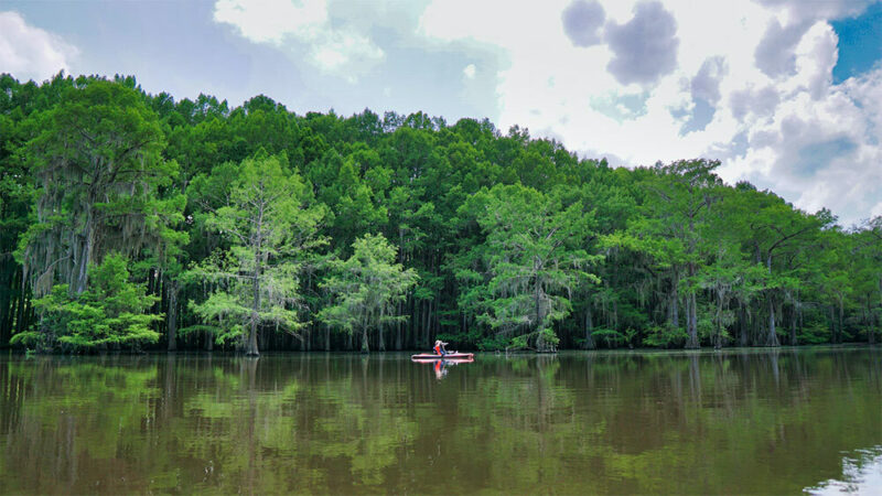person kayaking on a Texas river surrounded by green trees