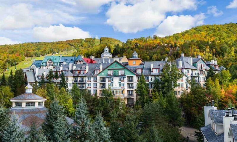 Apartment surrounded by trees.