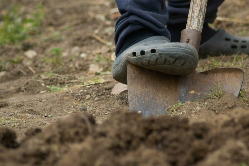 person digging a hole with a shovel, curiously wearing Crocs