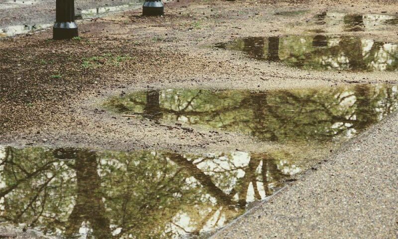 rainwater collected in puddles