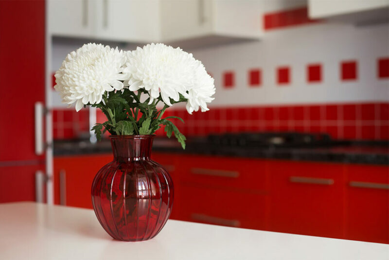 red and white kitchen