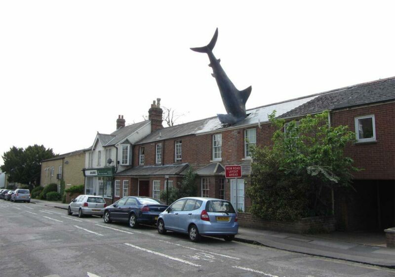 Shark House