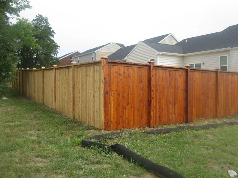 Stain fence