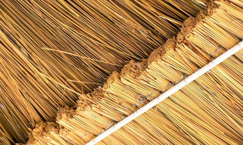 A close-up image of straw.