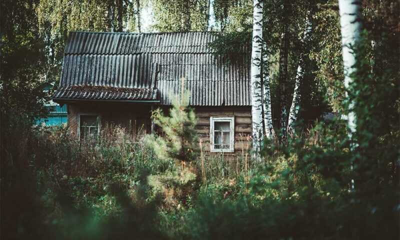 Old tiny home made of wood in a forest.