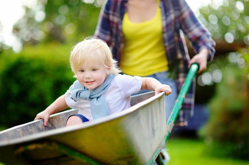 Toddler in wheelbarrow