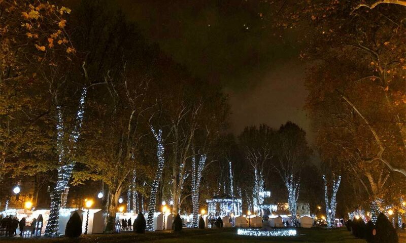 Christmas lights wrapped around trees along the street.