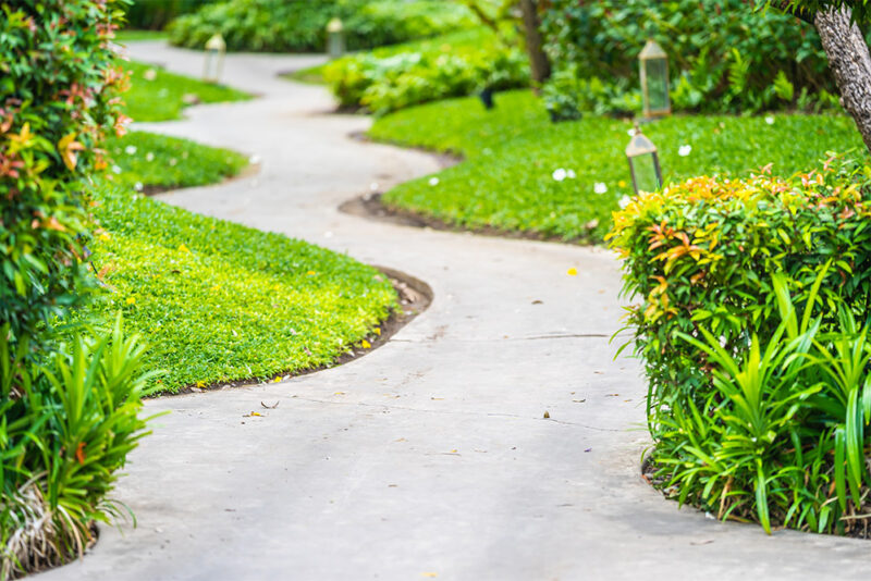 Walking path in a garden