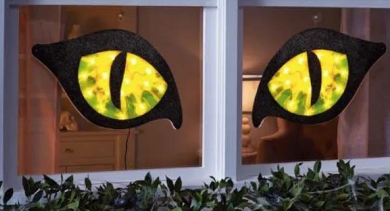 giant cat eyes in window