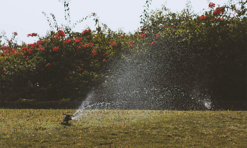 sprinklers on lawn and flowers