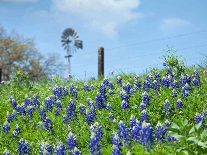 4 Up-and-Coming Texas Neighborhoods