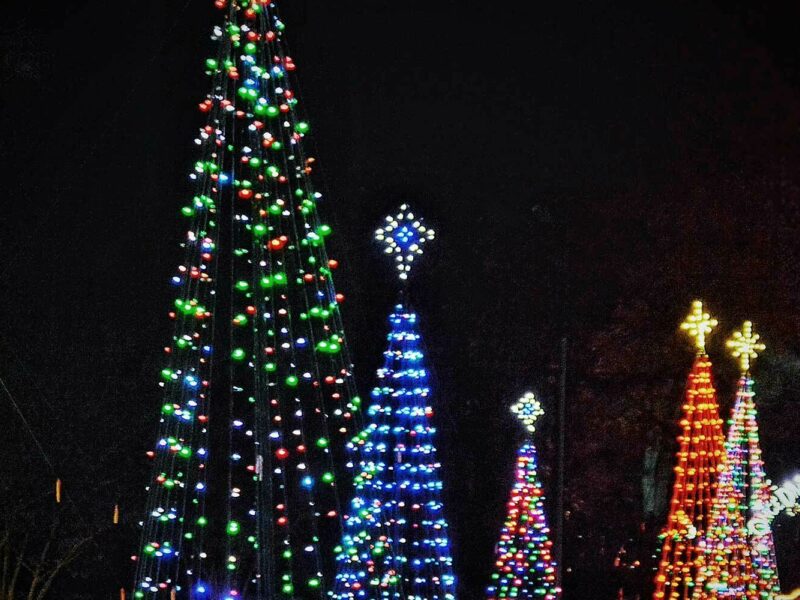 Christmas Lights in Texas