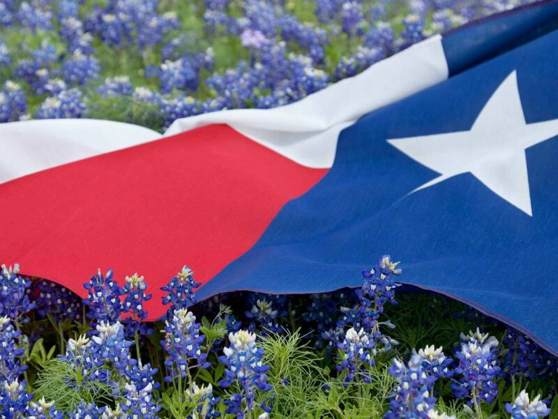 10 Reasons Texas is the Best State