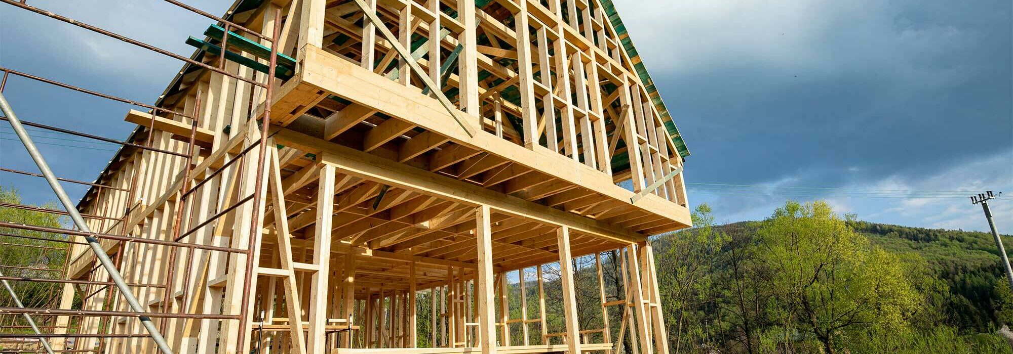 Pros Cons Of Newly Constructed Homes Vs Pre Existing